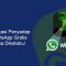 aplikasi sadap wa whatsapp