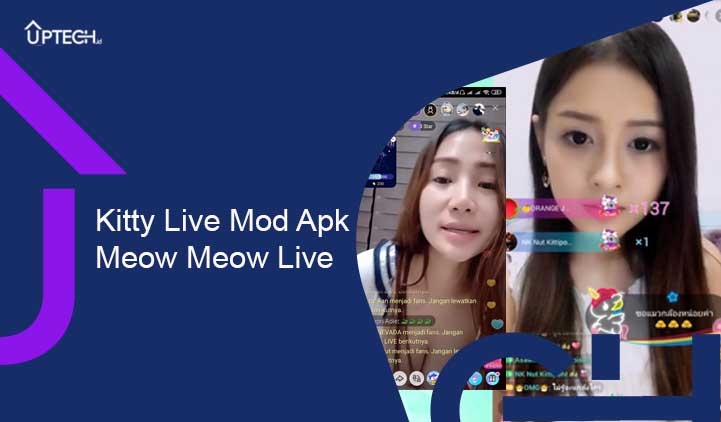 kitty live apk meong